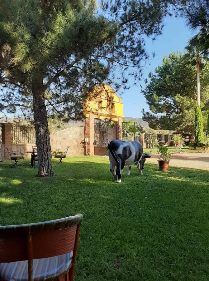Rancho El Campanario En La Ruta Del Vino Hostel Valle de Guadalupe Bagian luar foto