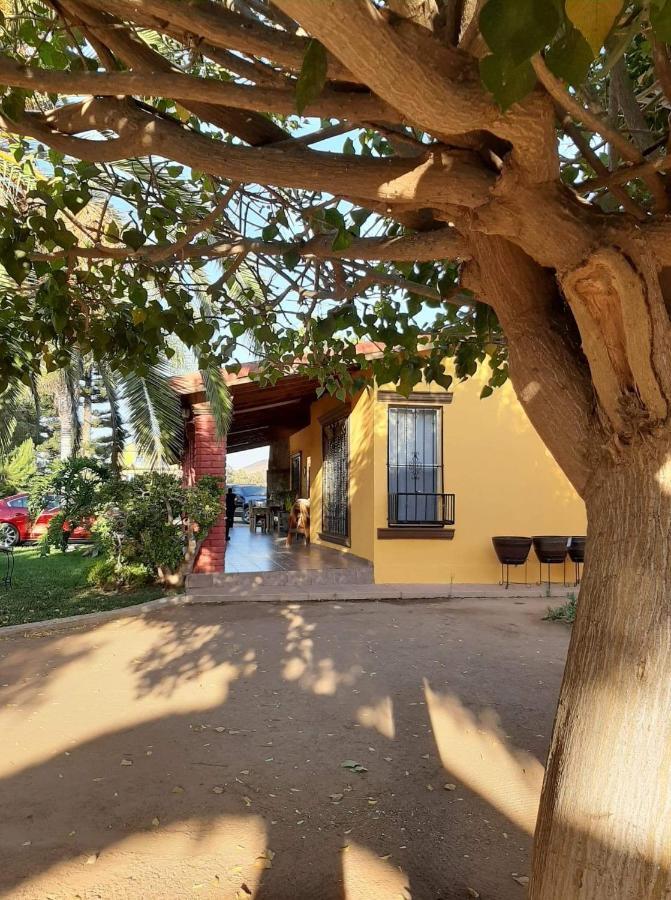 Rancho El Campanario En La Ruta Del Vino Hostel Valle de Guadalupe Bagian luar foto