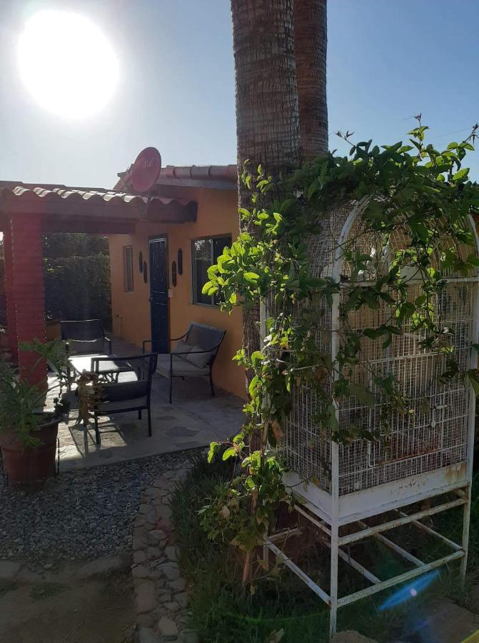 Rancho El Campanario En La Ruta Del Vino Hostel Valle de Guadalupe Bagian luar foto
