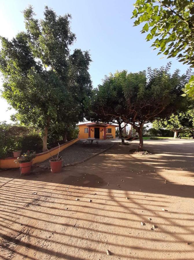 Rancho El Campanario En La Ruta Del Vino Hostel Valle de Guadalupe Bagian luar foto